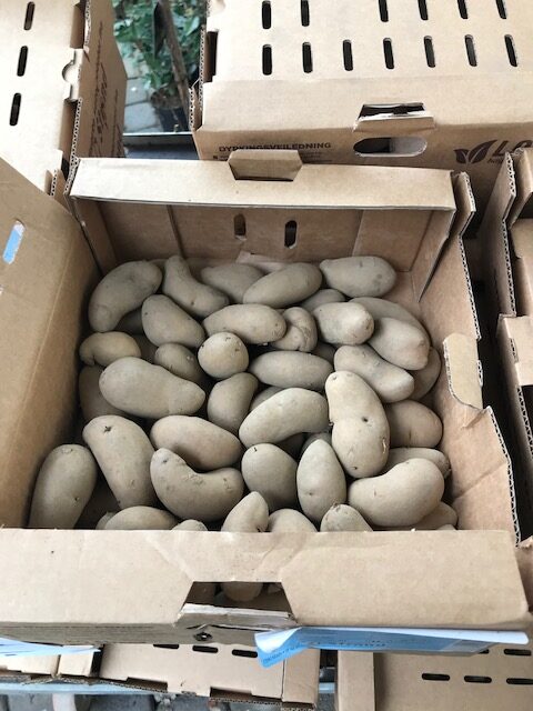 Kalnes Hagesenter * Spesielle - Settepoteter