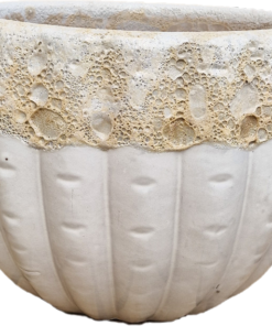 Krukke Pumpkin